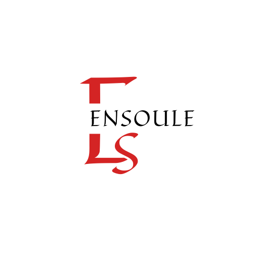 Logo image of Ensoule